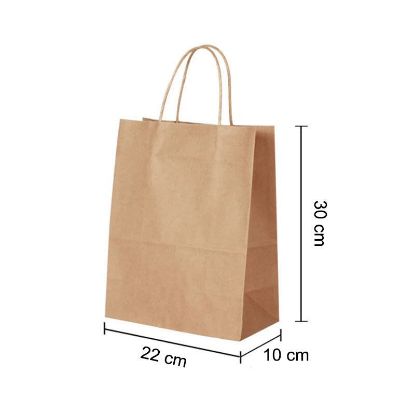 Brown Kraft paper bags with Twisted Handles - 22 x 30 x 10 cm