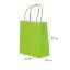 Paper Bags with Twisted Handle (Green) 22x27x10 cm