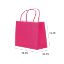 Paper Bags with Twisted Handle (Pink) 41x41x12 cm